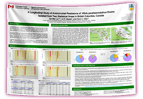 cheapest 48x60 Paper & Fabric Conference Research Poster in Downtown Toronto - Pickup near MTCC
